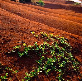 系列新作《符文工房：龙之天地》确定将于2025年5月30日发售